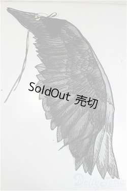 画像1: DD/OF:小物/0 A-25-11-05-220-TN-ZA