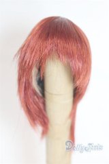 6-7inch/ウィッグ/インチ　BJD　MJD　ドール用 A-25-11-12-068-NY-ZA