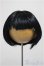 画像1: 8-9inch/ウィッグ/インチ　BJD　MJD　ドール用 A-25-11-5-328-NY-ZA (1)