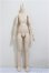 画像1: MDD/ベースボディIII/BJD　球体関節人形 A-25-11-05-370-NY-ZA (1)