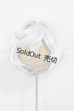 画像1: 8-9inch/ウィッグ/インチ　BJD　MJD　ドール用 A-25-11-12-197-NY-ZA