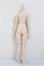 画像2: MDD/ベースボディ2.0/BJD　球体関節人形 A-25-11-12-131-NY-ZA (2)