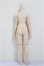 画像2: MDD/ベースボディ2.0/BJD　球体関節人形 A-25-11-12-132-NY-ZA (2)