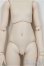 画像3: MDD/ベースボディ2.0/BJD　球体関節人形 A-25-11-12-152-NY-ZA (3)