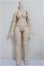 画像1: MDD/もちあしベースボディ2.0（DD-f3）/BJD　球体関節人形 A-25-11-12-153-NY-ZA (1)
