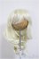 画像1: 9inch/ウィッグ/インチ　BJD　MJD　ドール用 A-25-11-12-148-NY-ZA (1)