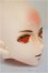 画像2: Imomodoll/Canis-ｂ/BJD　球体関節人形 A-25-11-12-143-NY-ZA (2)