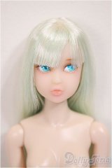 Today’s momoko/2402 カスタム/0 A-25-11-12-120-NY-ZA