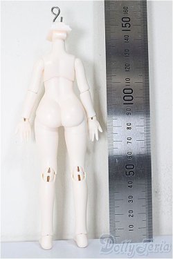 画像2: 15ｃｍサイズ/ボディ/ A-25-11-12-182-NY-ZA