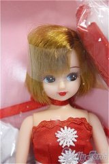 リカちゃんキャッスル/リカちゃん/BJD　球体関節人形 A-25-11-12-104-NY-ZA