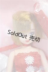 リカちゃんキャッスル/リカちゃん/BJD　球体関節人形 A-25-11-12-104-NY-ZA