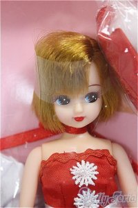 リカちゃんキャッスル/リカちゃん/BJD　球体関節人形 A-25-11-12-104-NY-ZA