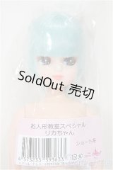 リカちゃんキャッスル/お人形教室スペシャル　ショート系/BJD　球体関節人形 A-25-11-12-166-TN-ZA