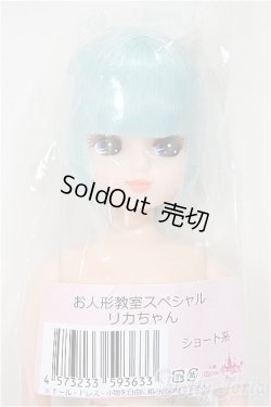 画像1: リカちゃんキャッスル/お人形教室スペシャル　ショート系/BJD　球体関節人形 A-25-11-12-166-TN-ZA