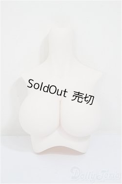 画像1: DD/上半身パーツ/BJD　球体関節人形 A-25-11-12-291-NY-ZA
