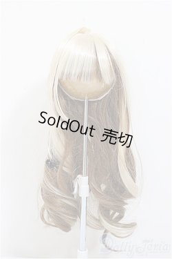 画像1: 8-9inch/ウィッグ/インチ　BJD　MJD　ドール用 A-25-11-12-251-NY-ZA