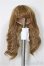 画像1: 5.5inch/ウィッグ/インチ　BJD　MJD　ドール用 A-25-11-12-378-NY-ZA (1)