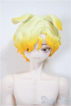 画像1: シチリアの追憶/ゴールデンレトリバー/ A-25-11-12-351-NY-ZA