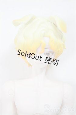 画像1: シチリアの追憶/ゴールデンレトリバー/ A-25-11-12-351-NY-ZA