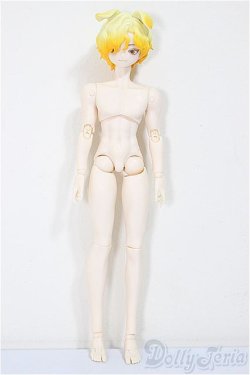 画像2: シチリアの追憶/ゴールデンレトリバー/ A-25-11-12-351-NY-ZA