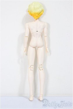 画像3: シチリアの追憶/ゴールデンレトリバー/ A-25-11-12-351-NY-ZA