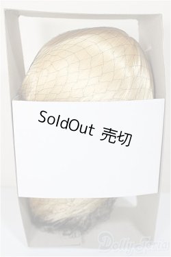 画像2: 9inch/ウィッグ/インチ　BJD　MJD　ドール用 A-25-11-12-400-NY-ZA