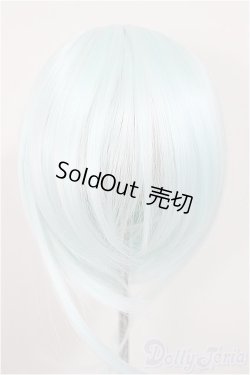 画像1: 9inch/ウィッグ/インチ　BJD　MJD　ドール用 A-25-11-12-399-NY-ZA