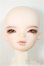 画像1: DOLL MORE/Kid Dollmore Boy - Cecile/BJD　球体関節人形 A-25-11-12-368-NY-ZA (1)