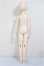 画像6: DOLL MORE/Kid Dollmore Boy - Cecile/BJD　球体関節人形 A-25-11-12-368-NY-ZA (6)