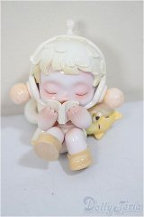 スカルパンダ/温度　Wandering/ A-25-11-19-319-NY-ZA