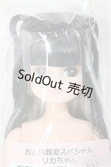 リカちゃんキャッスル/リカちゃん:トップ＆サイドアップ系 お人形教室スペシャル/BJD　球体関節人形 A-25-11-26-105-NY-ZA