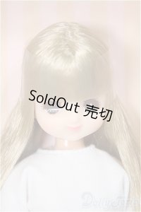 リカちゃんキャッスル/ファニー-1(No.13374-772):2025年2月リカちゃんフレンズクラブ/BJD　球体関節人形 A-25-11-26-104-NY-ZA