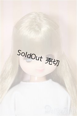 画像1: リカちゃんキャッスル/ファニー-1(No.13374-772):2025年2月リカちゃんフレンズクラブ/BJD　球体関節人形 A-25-11-26-104-NY-ZA