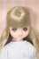 画像1: リカちゃんキャッスル/ファニー-1(No.13374-772):2025年2月リカちゃんフレンズクラブ/BJD　球体関節人形 A-25-11-26-104-NY-ZA (1)