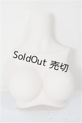 MDD/MDD2.0-B-L-SW:上半身パーツ L胸/0 A-25-11-26-113-NY-ZA