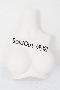 MDD/MDD2.0-B-L-SW:上半身パーツ L胸/0 A-25-11-26-113-NY-ZA