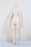 画像2: MDD/もちあしベースボディ2.0（DD-f3）/BJD　球体関節人形 A-25-11-26-120-NY-ZA (2)