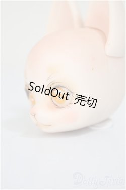 画像3: Piccodo/FURRY　FOX/ A-25-11-26-164-NY-ZA