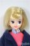 画像1: リカちゃんキャッスル/ジュディ/BJD　球体関節人形 A-25-11-26-172-NY-ZA (1)