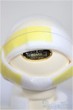 画像5: SD17男の子/レイズナー〜The Shadow of Captain II〜/BJD　球体関節人形 A-25-11-26-193-NY-ZA