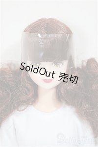 キャッスルジェニー/シオン/BJD　球体関節人形 A-25-11-26-255-NY-ZA