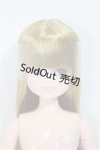 リカちゃんキャッスル/ハッピースマイルリカちゃん/BJD　球体関節人形 A-25-11-26-251-NY-ZA