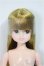 画像1: リカちゃんキャッスル/ハッピースマイルリカちゃん/BJD　球体関節人形 A-25-11-26-251-NY-ZA (1)