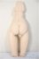 画像2: DD/下半身パーツ/BJD　球体関節人形 A-25-11-26-379-NY-ZA (2)
