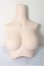画像1: DD2.0/上半身パーツ　M胸/0 A-25-12-03-118-NY-ZA (1)