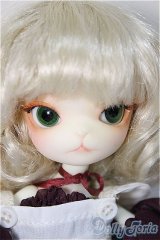 DOLLZONE/Mini Kitty/BJD　球体関節人形 A-25-11-26-399-NY-ZA