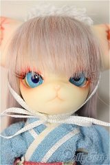 DOLLZONE/Mini Kitty　newyear2019/BJD　球体関節人形 A-25-11-26-400-NY-ZA