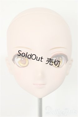 画像1: DDH-09/彩色メイクヘッド/BJD　球体関節人形 A-25-12-03-114-NY-ZA