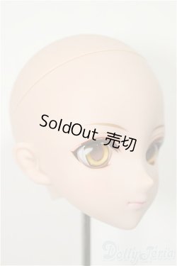 画像2: DDH-09/彩色メイクヘッド/BJD　球体関節人形 A-25-12-03-114-NY-ZA