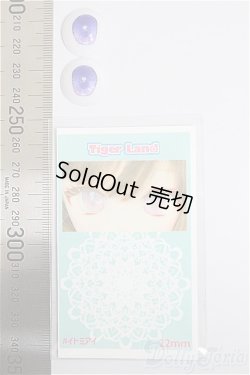画像2: 22mm/アニメアイ/0 A-25-12-03-215-NY-ZA